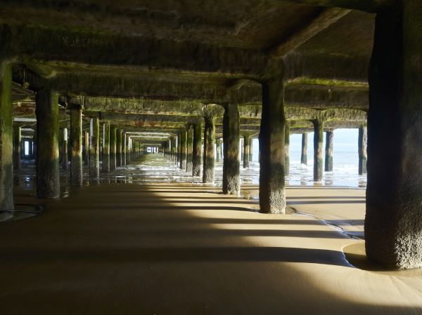 Cost of Pier And Beam Leveling in Indianapolis